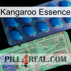 Kangaroo Essence new02